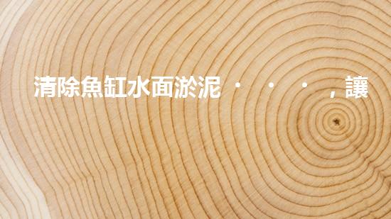 清除魚缸水面淤泥，讓你的寵物魚兒呼吸更暢快！